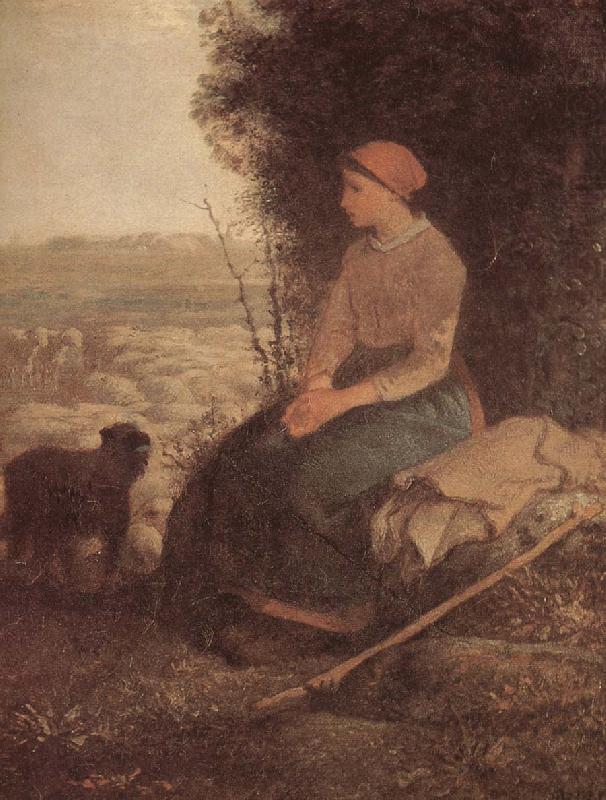 Jean Francois Millet Sleeping Shepherdess china oil painting image